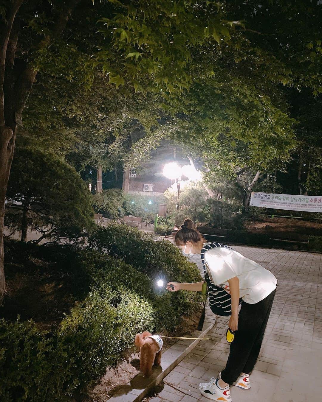 ユン・セアさんのインスタグラム写真 - (ユン・セアInstagram)「😈 서로에게 빛이 되어주길.. #늦은산책 #미안 #뽀그리야🐶🐾의하루」6月18日 21時37分 - loveyoonsea