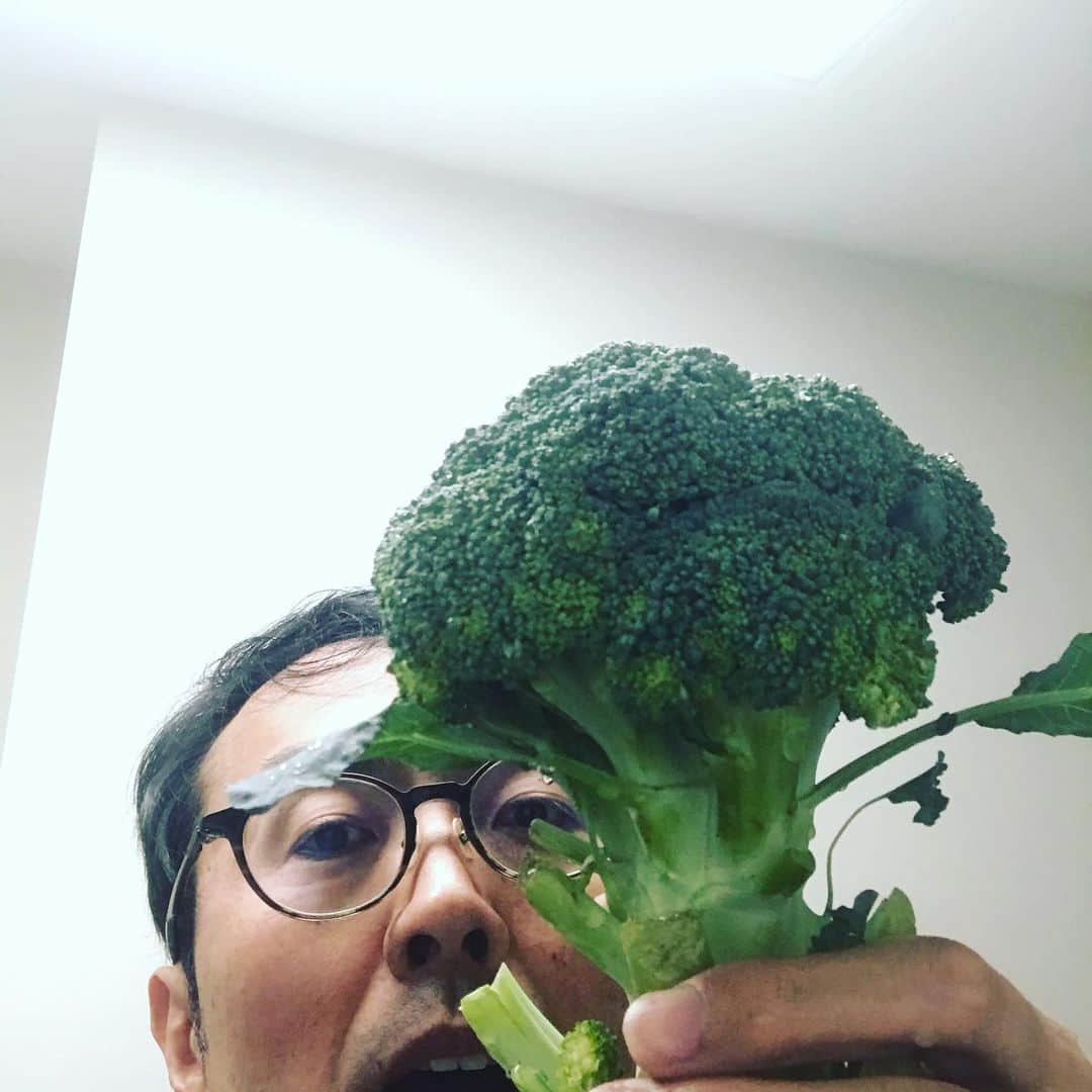 田中卓志さんのインスタグラム写真 - (田中卓志Instagram)「ブロッコリーは増やせないのかなぁ😰 最近どの野菜をみても、これは増やせないのかなぁ？と思ってしまう。ヤダっ！恥ずかしいっ！  #ブロッコリー #アンガールズ #アンガールズ田中 #ヤダっ」6月18日 21時57分 - ungirls_tanaka