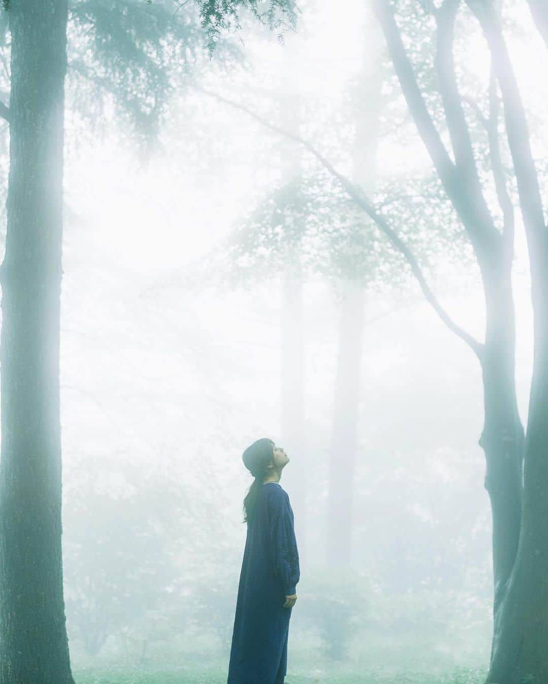 shinichi38のインスタグラム：「﻿ envelope 🌫﻿ ﻿」