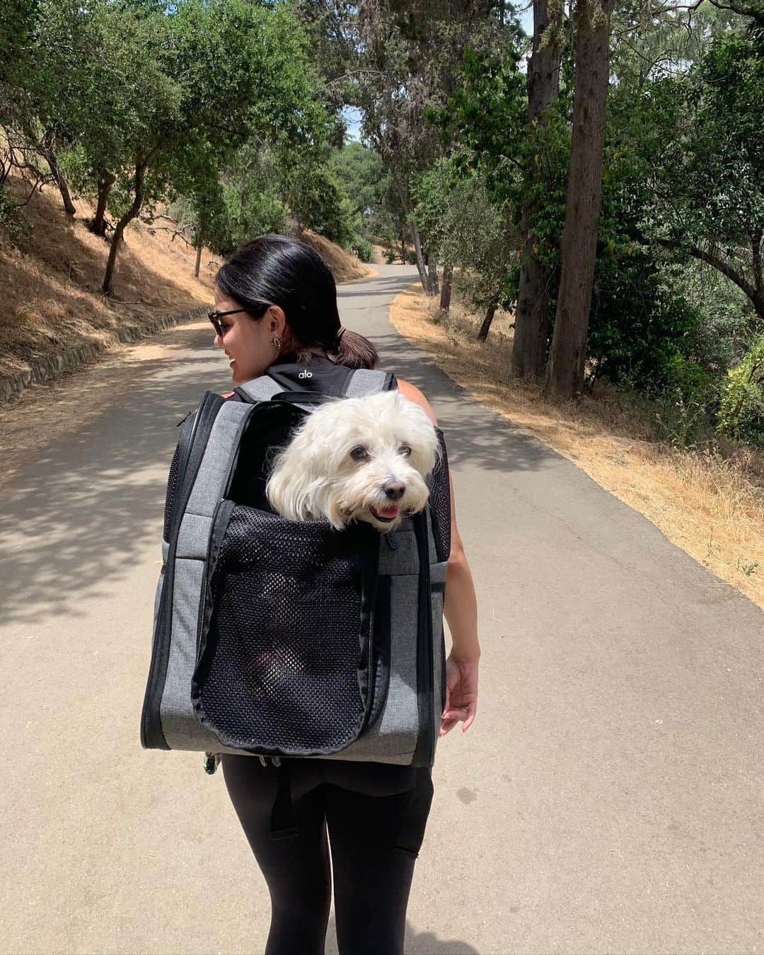 ルーシー・ヘイルさんのインスタグラム写真 - (ルーシー・ヘイルInstagram)「thank u amazon for making all my dog mom dreams come true」6月18日 22時02分 - lucyhale