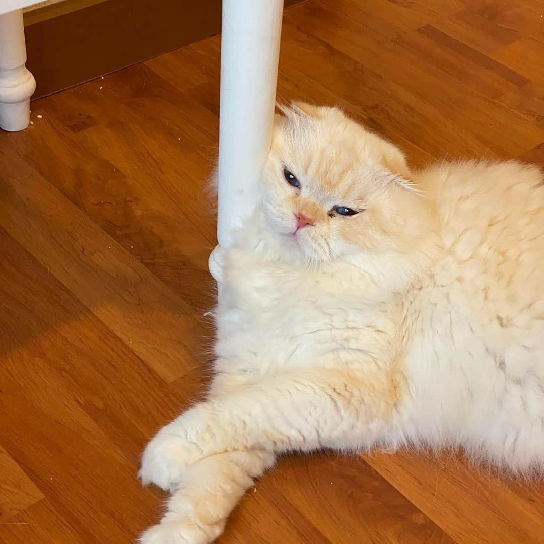 Haruのインスタグラム：「Yes, tomorrow is Friday. 😩 #gentleharper #ม่ายไหวแง้ววววว」