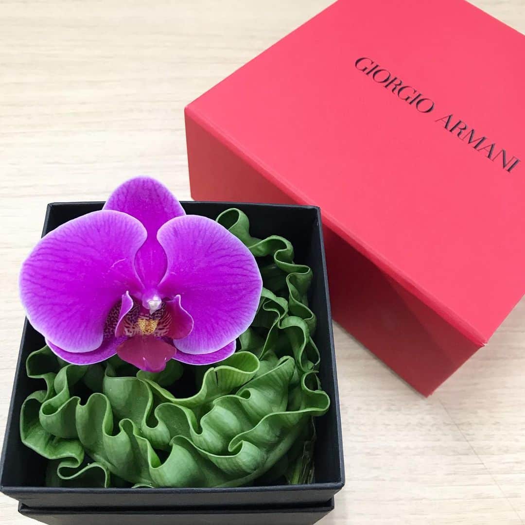 福田葉子さんのインスタグラム写真 - (福田葉子Instagram)「アルマーニ　ビューティの新作コスメと共にお花が。生花！珍しい。てっきりこれもコスメだと思ってボックスを開けたら鮮やかなお花だった時のときめき。スポイトのようなものに茎が刺してあり長持ちするようにしてありました。こういうサプライズ、お心遣い、嬉しいですね。粋です。デスクに置いて眺めてます。 新作コスメはまた発売日近くになったらご紹介しますね。 #flowers #gift #armanibeauty #beauty #giorgioarmani #cosmetics #thankyou #お花　#ギフト　#アルマーニビューティ　#美容　#コスメ　#新作　#サプライズ」6月18日 13時21分 - yoyoyokoko
