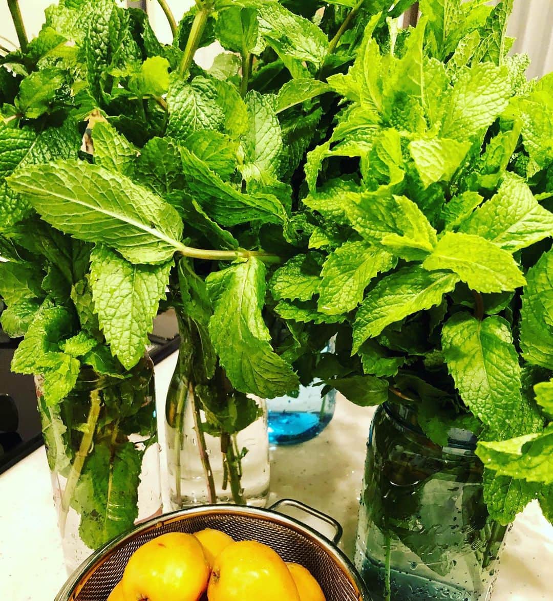 林家あずみさんのインスタグラム写真 - (林家あずみInstagram)「ショートムービーを撮影した時に石田さんに、いただいたミントで、大好きなミントティーを飲む午後😍❤️ めちゃくちゃ良い香り😍❤️ たっぷり分けてもらいましので、プランターに植えて根付くかチャレンジ😃✨ 根付いてくれますように😆🙏🙏 #ミントティー #林家あずみ」6月18日 13時46分 - kurohime424