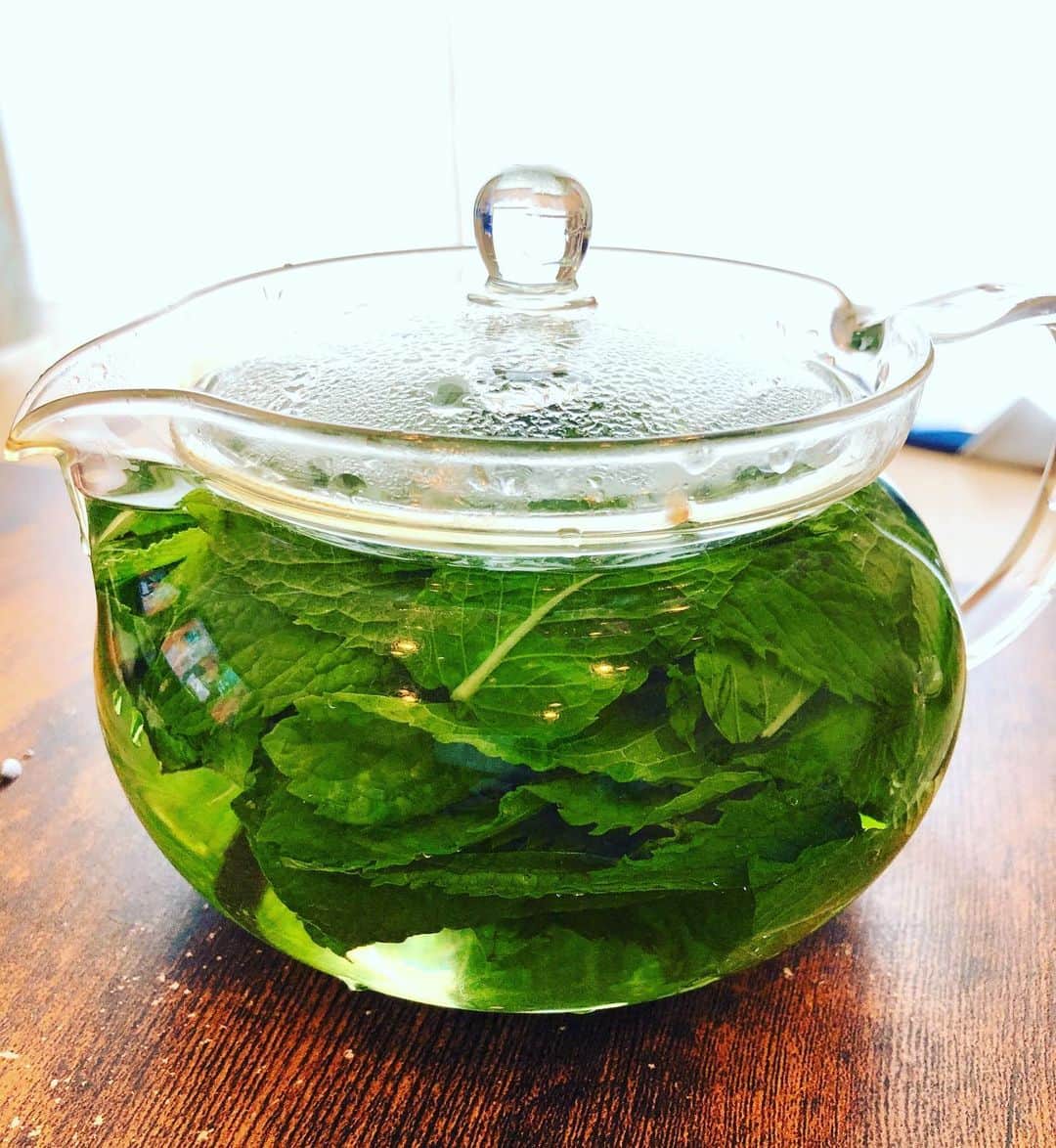 林家あずみさんのインスタグラム写真 - (林家あずみInstagram)「ショートムービーを撮影した時に石田さんに、いただいたミントで、大好きなミントティーを飲む午後😍❤️ めちゃくちゃ良い香り😍❤️ たっぷり分けてもらいましので、プランターに植えて根付くかチャレンジ😃✨ 根付いてくれますように😆🙏🙏 #ミントティー #林家あずみ」6月18日 13時46分 - kurohime424