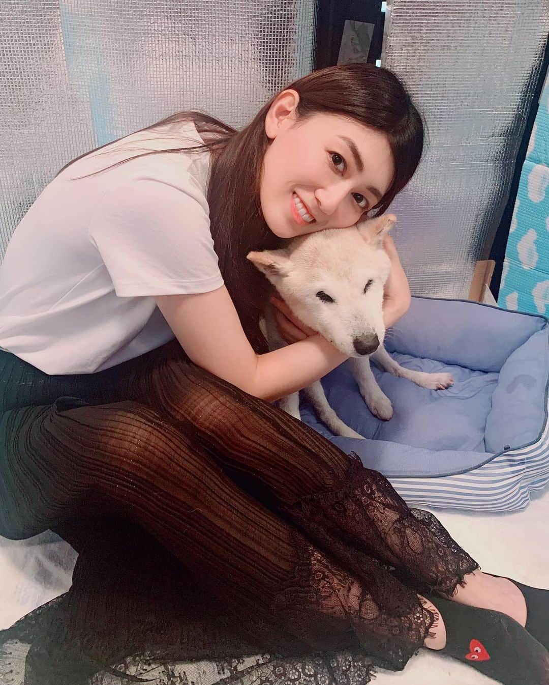 のインスタグラム：「@miney_jp_official  食べる量が減ってしまってるということで、私が飲んでいるミネリーを愛犬宛に少し送りました。愛犬は17歳で私は26歳。お互い歳を重ねました。離れてても大好きな気持ちは変わらないです。 @orichalcon8 体内のミトコンドリアを活性化させてくれるブルーグリーンアルジーも飲んでくれてるのできっと大丈夫かと🌱少しの間会えないけれど夏バテに負けず、元気でいてください😌🙏💓 ・ ・ #ミトコンドリア活性化 #愛犬のいる生活 #老犬 #モデル #健康志向 #小笠原エリイ #変化を楽しむ #フリーランス #ミトコンドリア活性化 #免疫力を高める #パワーチャージ #ミトコンドリア #フルボ酸 #飲むミネラル #ミネリー #オーガニック #犬も人間も飲めるオーガニックなもの #organicfood #superfood #japan #modellife #asianmodel #happy #shibainu #organiclife #healthy #nature #beautiful #family #modellifestyle」