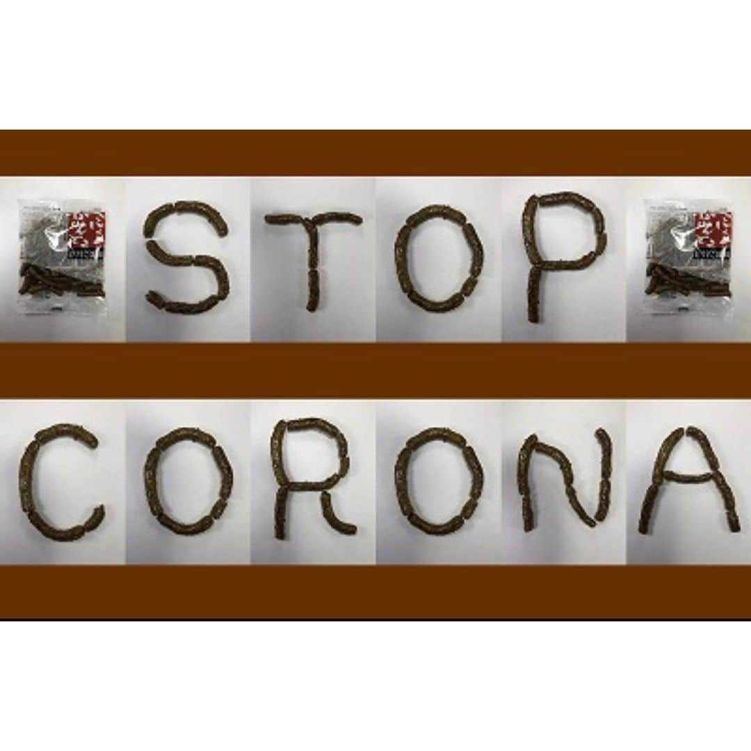 ほいけんたさんのインスタグラム写真 - (ほいけんたInstagram)「「STOP CORONA」  ごぼうかりんとうで願掛け文字を作りました♪  #ほいけんた #ごぼうかりんとう #ごぼう #かりんとう #おやつ #文字 #stopcovid19 #stopcovid #stopcoronavirus #stopcorona #fightcovid19 #fightcoronavirus #fightcorona #stayhome #WeWiiWin #コロナに負けるな #コロナにまけるな #コロナに負けない #コロナに負けないぞ #コロナに負けるな日本 #ステイホーム #家にいよう #ひとりで出来る事」6月18日 14時57分 - hoikenta