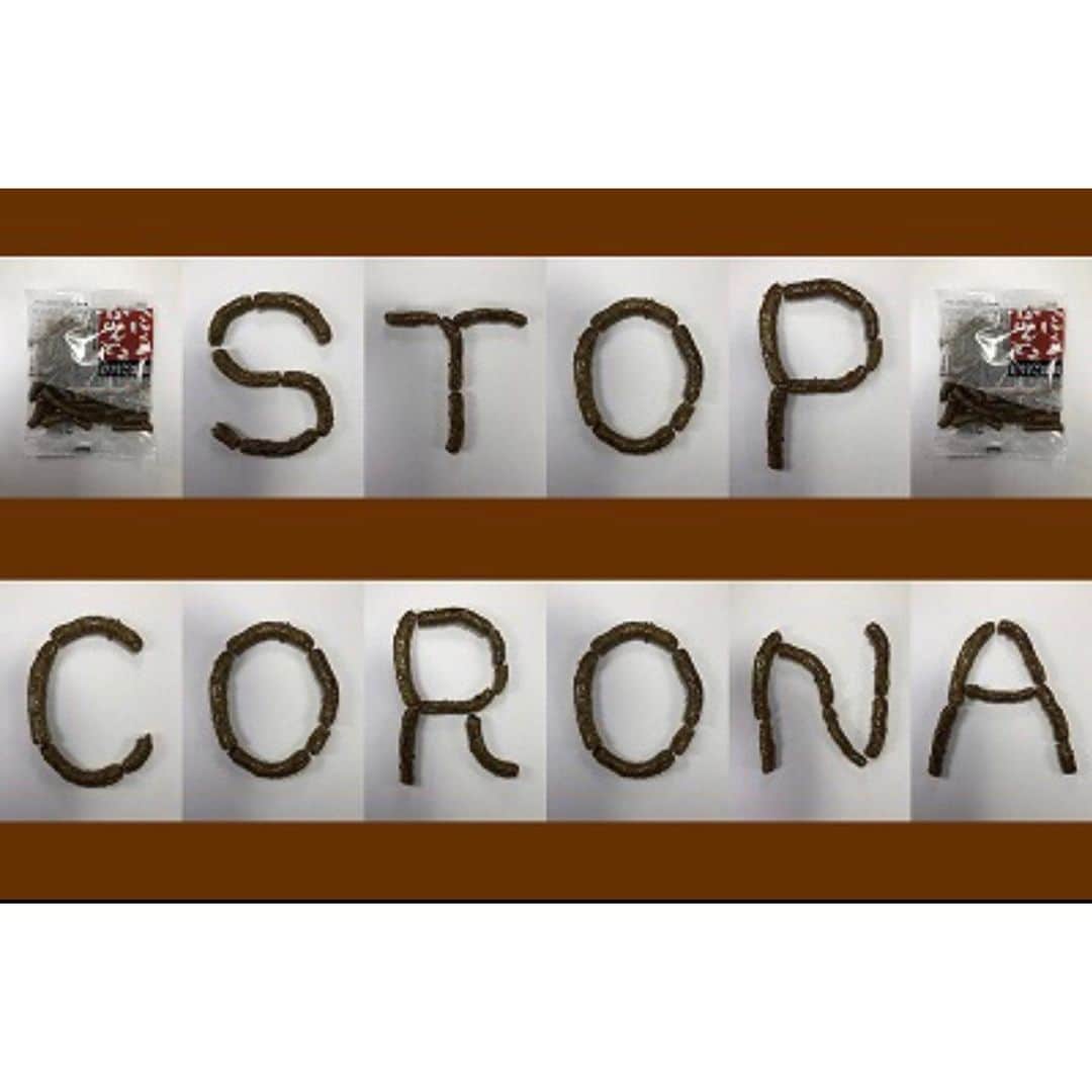 ほいけんたのインスタグラム：「「STOP CORONA」  ごぼうかりんとうで願掛け文字を作りました♪  #ほいけんた #ごぼうかりんとう #ごぼう #かりんとう #おやつ #文字 #stopcovid19 #stopcovid #stopcoronavirus #stopcorona #fightcovid19 #fightcoronavirus #fightcorona #stayhome #WeWiiWin #コロナに負けるな #コロナにまけるな #コロナに負けない #コロナに負けないぞ #コロナに負けるな日本 #ステイホーム #家にいよう #ひとりで出来る事」