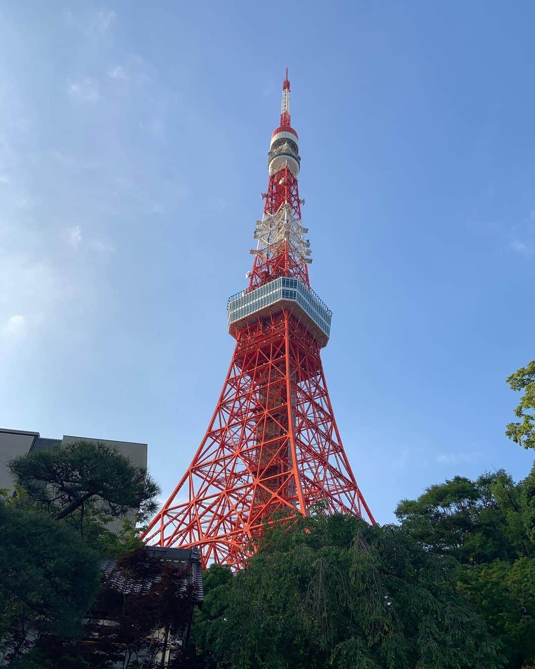 本田しおりのインスタグラム：「東京タワー🗼好きです」