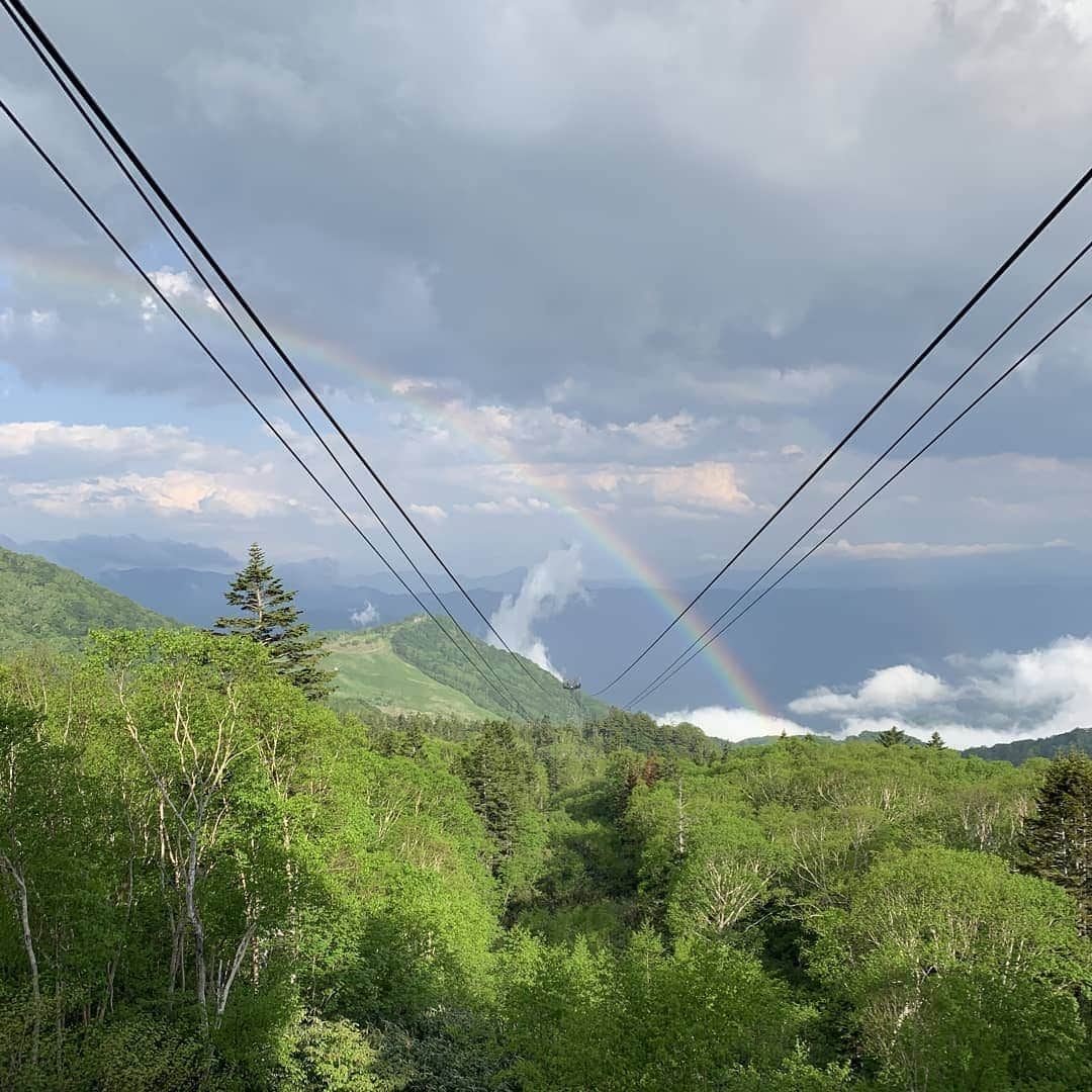 栂池高原スキー場さんのインスタグラム写真 - (栂池高原スキー場Instagram)「2日前の雨上がり…🌈🍀 雨の日は、こんなラッキーな事もっ🍀 是非、お越しください🐸☔️ 💧  #梅雨 #雨上がり #イマソラ #虹 #ラッキー #自然 #山フォト  #栂池自然園 #栂池  #小谷村  #長野  #photooftheday #rainbow #rainyday #sunshower  #mountainlife #greenseason #summer #tsugaike #nagano #コロナに負けるな　#山スタグラム　#山談義」6月18日 15時51分 - tsugaike_kogen