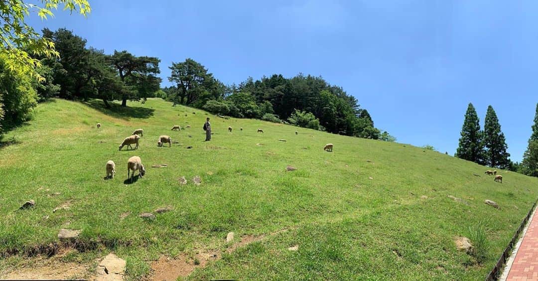 のインスタグラム：「義理の両親が来てくれて久々の外出で牧場へも行ったり。美味しいものも沢山食べた三日間。 そして、昨日から胃腸炎に苦しむ羽目になり、寝込む中で色々気持ちと向き合って先ほどからクリーンな気持ちでまたピアノに向かえました。 ここまで先が見えない状況で、録画等はしているものの、たまに自分がなにものか分からなくなってしまうマイナス思考の時間が訪れて、疲れてしまっていました。が、休養もとれて、胃腸炎になり笑、気持ちもすっきり。 今出来ることを精一杯やって復帰を素晴らしい場にすべく、 自分の演奏に向き合います🤗 次の自分のYouTubeアカウントと、おうちでアミティのために、また延期になったレコーディングやコンサートのために、張り切ります☺️ それにしても、三歳くらいかな？以来縁の無かった吐き気、もう一生ごめんだよー😂  #六甲山牧場 #休養」