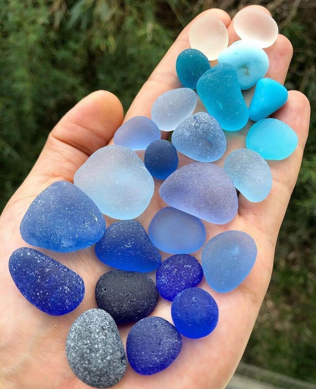 9GAGさんのインスタグラム写真 - (9GAGInstagram)「Beautiful beach sea glass 📸 @byeen0402 - #seaglass #pretty #きれい #9gagdrawing」6月18日 17時25分 - 9gag