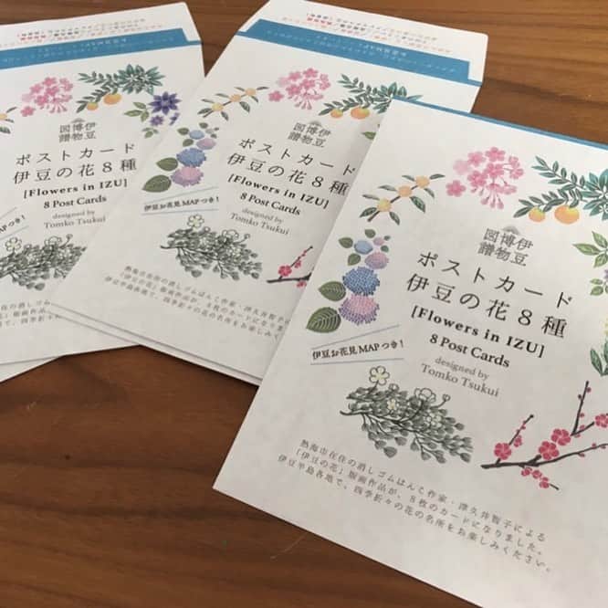 津久井智子のグルメインスタ