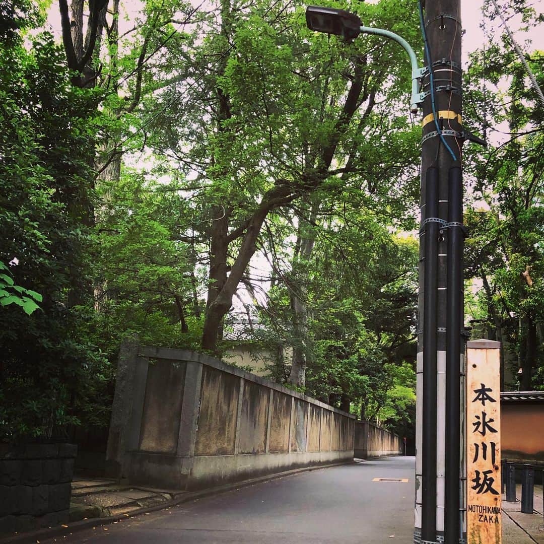 櫻井リヤのインスタグラム：「久しぶりに区外に出ました」