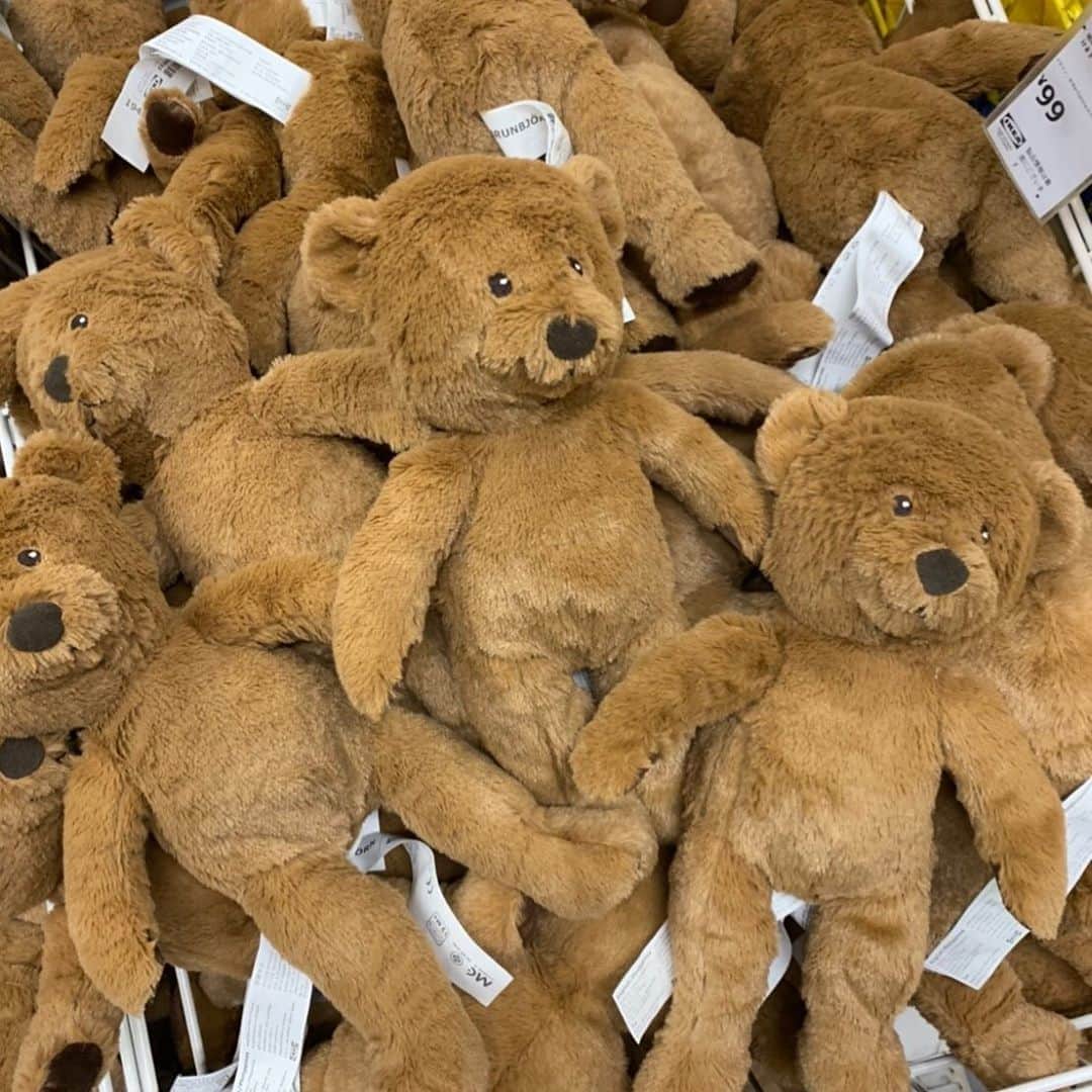 井出レイコのインスタグラム：「🐻♥️🐻♥️🐻♥️🐻♥️🐻♥️🐻 かわいいー🖤 むかしから　くまの物に弱いw、が 物は　極力増やさないように してるから...。 可愛いけど買わない🐻♥️🐻笑 #ikea #teddybear #bear 常に　#断捨離　🗑🗑🗑 本当に必要なものだけ。」