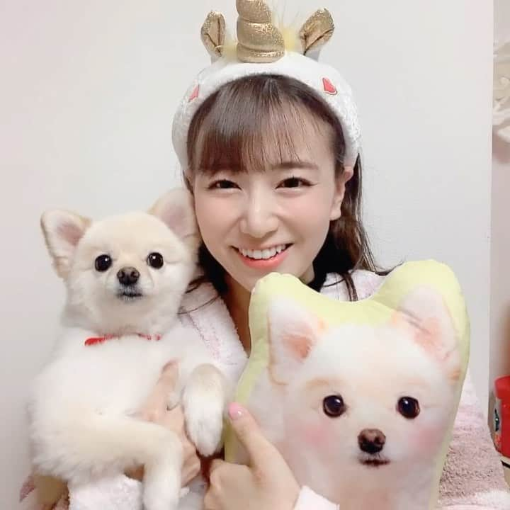 初川みなみのインスタグラム：「3ショット🐶🐶👧﻿ ﻿ 実物もクッションもフワフワです💓﻿ @aisdelu.japan さんのうちの子クッション💓 ﻿ 10％OFFクーポンコード▶︎【ig10off】﻿ ﻿ ﻿ #Aisdelu #aisdeluクッション﻿ #うちのこクッション﻿ #思い出クッション﻿ #プレゼント﻿ #メモリアル﻿ #写真好きな人と繋がりたい﻿ #ペット﻿ #愛犬グッズ﻿ #オーダーメイド﻿ #うちの子記念日﻿ #うちの子グッズ﻿ #オリジナルグッズ﻿ #犬﻿ #猫﻿ #うさぎ﻿ #インコ﻿ #プードル﻿ #チワワ﻿ #いぬすたぐらむ﻿ #愛犬との暮らし﻿ #アイシテル #愛してる﻿ #ペットクッション #オリジナルクッション﻿ #ペットオーダークッション﻿ #うちの子グッズ﻿ #ポメラニアン#ポメ」