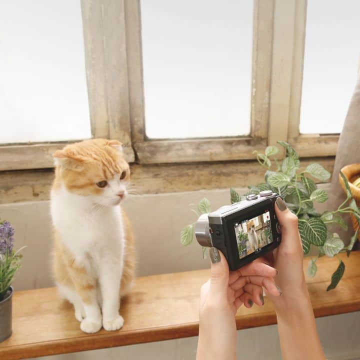 Canon Asiaのインスタグラム：「Our Canon PowerShot G7 X Mark III clinched the title of The Best Vlogging Camera from Technical Image Press Association (TIPA) this year and here are 3 need-to-know product features to take your social media game up a notch! . ✔️ Live streaming capabilities on YouTube ✔️3-inch tilting touchscreen for different angles ✔️4K Movie shooting without crop . Catch our Canon PowerShot G7 X Mark III in action below and read the full story in our bio! . #canonasia #photography #explore #vlogging #powershot #G7XMarkIII #canon #lens #inspiration #TIPA」
