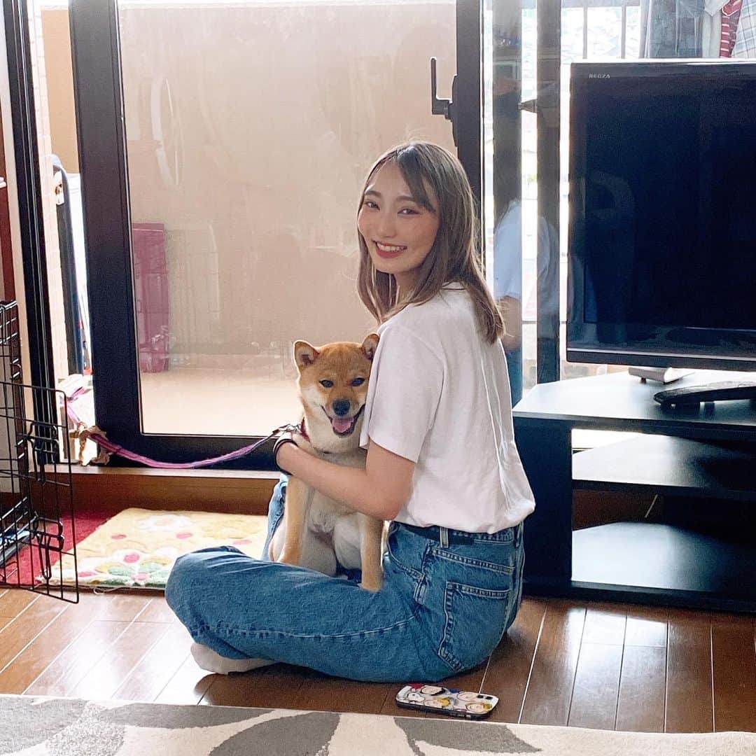 ゆりのインスタグラム：「ワタルママに会いに行ったときの。 スズ(柴犬)ばり懐いてきてんかわいかろ」