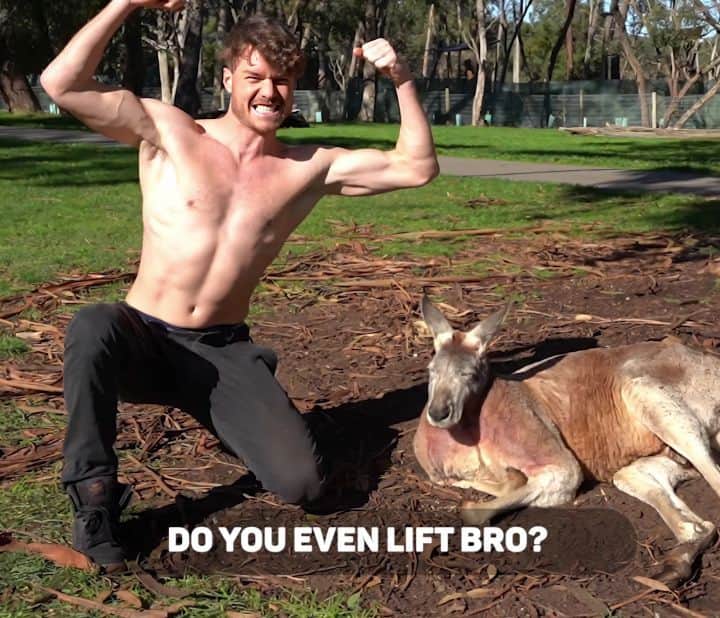 アラン・ディクソンのインスタグラム：「New Buff Kangaroo video released! Click my bio link for free muscles 🏋️🦘 Not that anyone cares but my gym is paying off.」