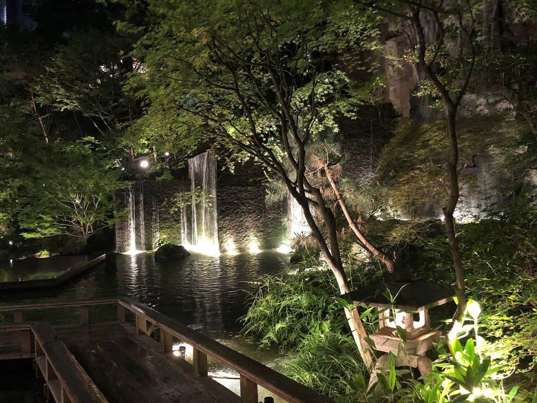 中岡由佳さんのインスタグラム写真 - (中岡由佳Instagram)「夜の滝。静かな美。金太郎池。 #ホテル雅叙園東京 #hotelgajyoentokyo」6月18日 19時44分 - yuka_nakaoka