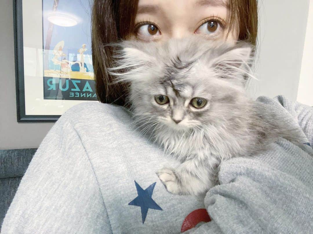 片原恵麻さんのインスタグラム写真 - (片原恵麻Instagram)「らぶゆの極み🤍🤍🤍」6月18日 20時01分 - emma_katahara