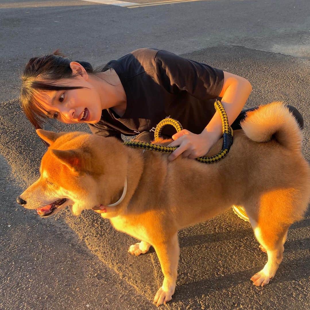 吳子霏（Ellen Wu）のインスタグラム：「Family time☀️🐾」