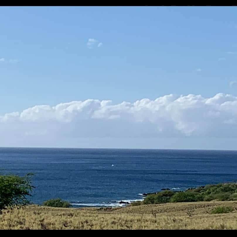 美城れんのインスタグラム：「今日は…ハワイ島の海を。✨😌✨ 2月の写真です。クジラを🐳見に行った時の写真。真ん中の小さな白い波がクジラが跳ねたアト … スマホのカメラではなかなか難しい😅 今日も、心からありがとう😌 全てに感謝です。😌🙏✨✨」