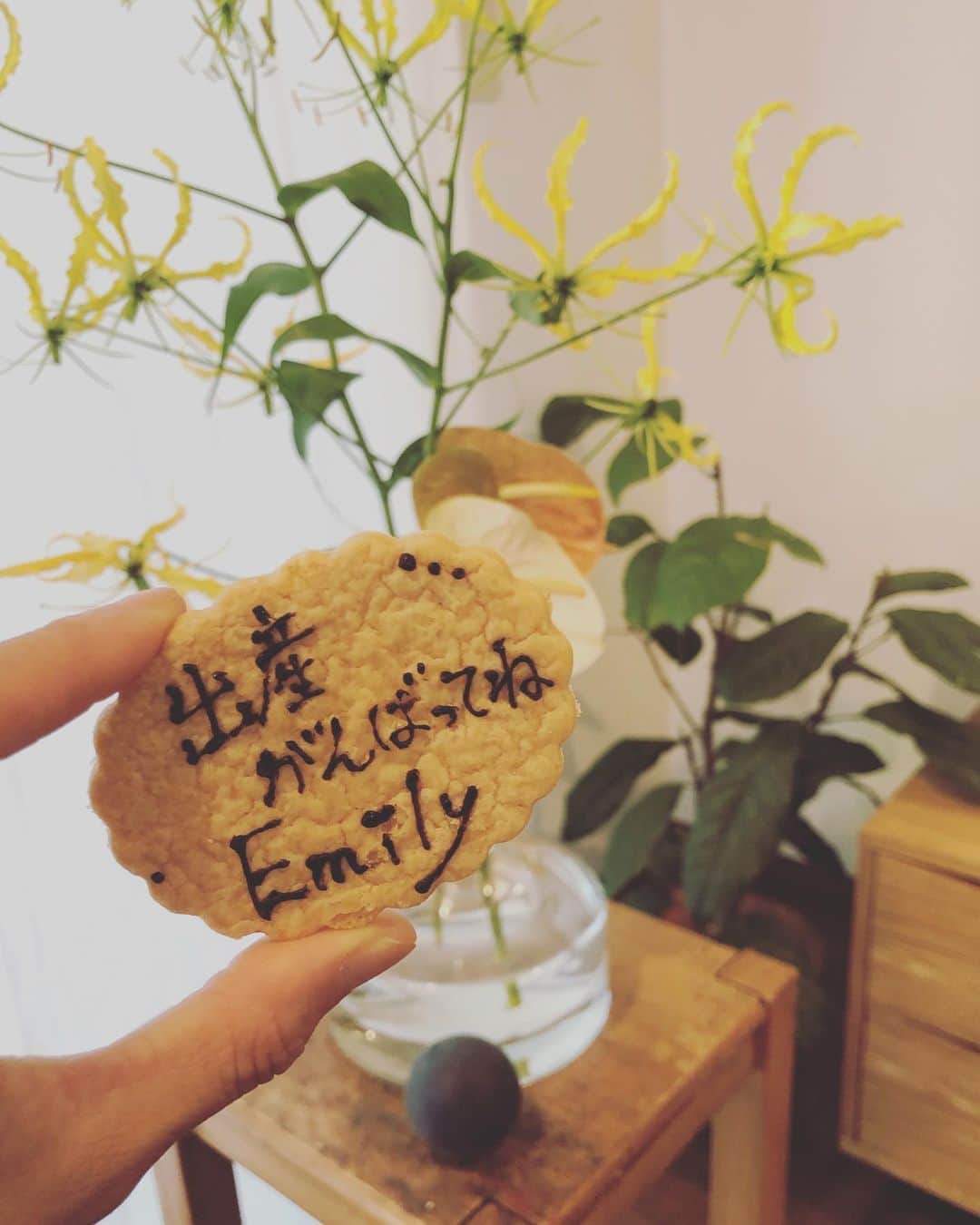 EMILY/BLUEのインスタグラム