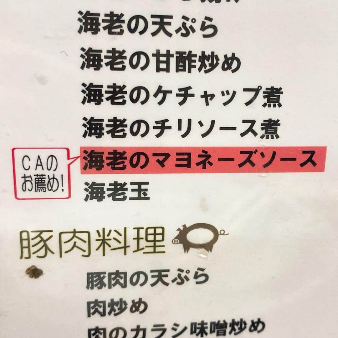 山岸久朗さんのインスタグラム写真 - (山岸久朗Instagram)「スッチー（死語）達がたくさん来るという、めちゃ美味い町中華が大阪空港沿いにあると聞いて、ずっと行きたかったんですが、やっと来られました。名物は、麻婆豆腐から豆腐を抜いた「かどや丼」。ＣＡオススメは海老マヨネーズらしい。皿のチッピングがえげつない笑 でもスッチーは１人もいなかった。 #かどや飯店 #町中華 #中華料理 #キタナシュラン #スッチー #スチュワーデス #キャビンアテンダント #ca #cabinattendant  #蛍池 #大阪国際空港  #山岸久朗 #山岸弁護士 #山岸弁護士が飯テロ中」6月19日 6時54分 - yamaben