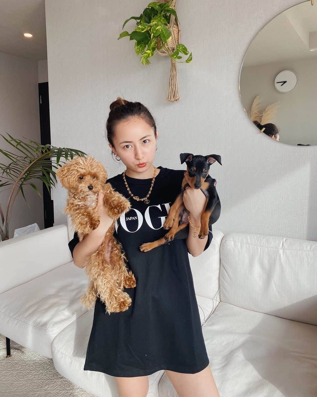 Julia Castroさんのインスタグラム写真 - (Julia CastroInstagram)「👑🐶👩🏻🐶👑 ジャックが来て次の日に撮った写真。 まだノエルより小さい♡ どんどんたくましく育っています🐾 多頭飼いの方に聞きたいんだけど、いつ頃から2匹で生活できるようになりましたか？ ハウスから出したら出してる分ずっと遊んでて、赤ちゃんだから仕方ないと思いつつもいつになったら2人で仲良く寝てくれるのかなって😪 少しずつ慣れさせてるんだけど、やっぱりお互い安心する存在になって欲しいなと思ってる♡ . #Noelくん #Jackくん #miniturepinscher  #minipin #dog #dogstagram  #puppy #mybaby #babyboy #maltipoo  #maltese #toypoodle #家族 #兄弟 #犬 #マルプー #ミニピン #ミニチュアピンシャー  #ピンシャー #マルチーズ #トイプードル #子犬 #写真 #初めての写真 #可愛い #癒し #男の子」6月18日 22時34分 - julia.c.0209