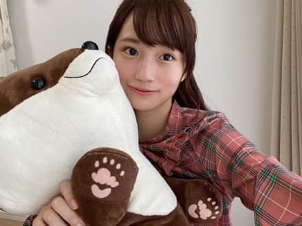 河田陽菜のインスタグラム：「このカワウソのぬいぐるみが欲しい！！ ・ ・ ・ #掛橋沙耶香#乃木坂#乃木坂46#乃木坂46好きな人と繋がりたい」