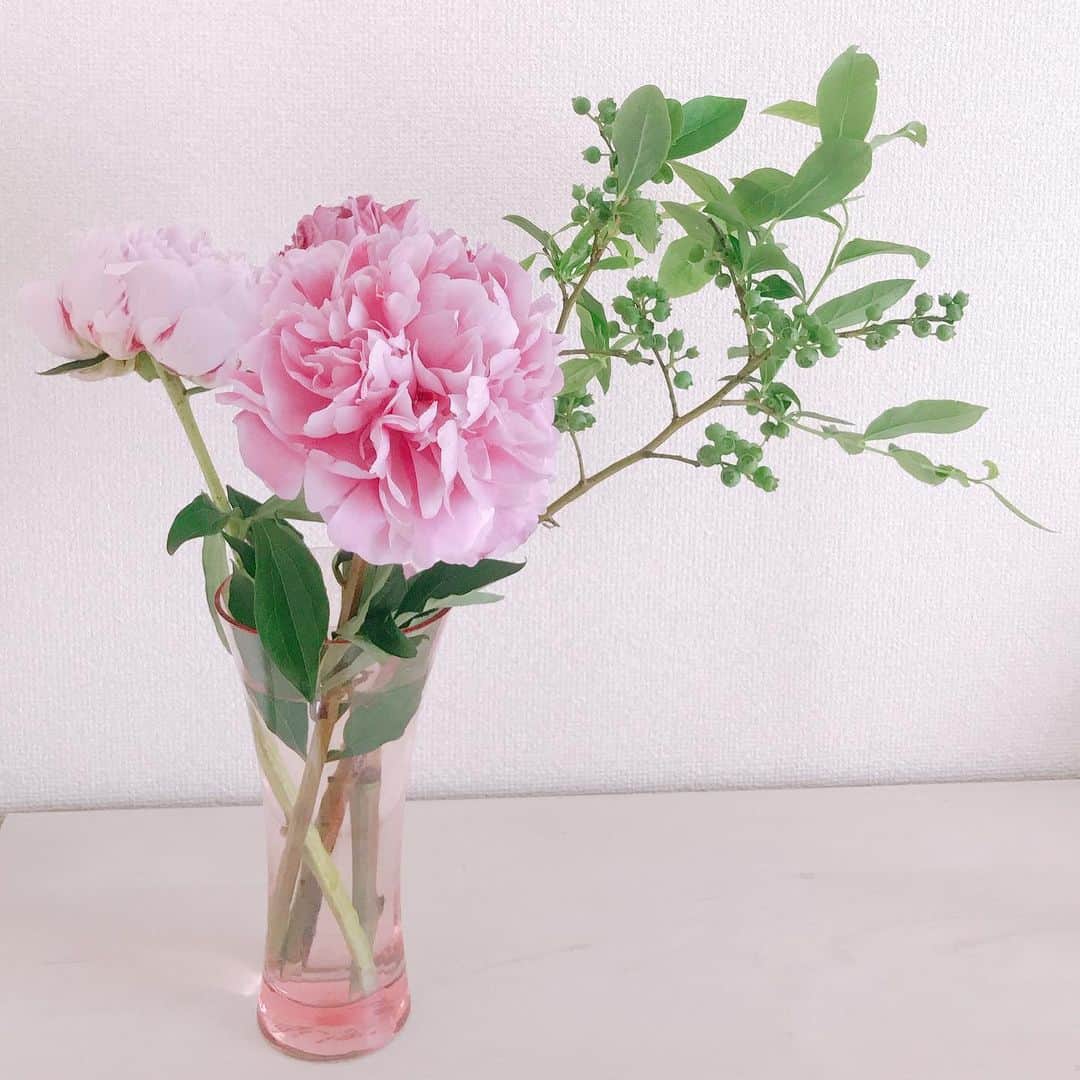 下田奈奈さんのインスタグラム写真 - (下田奈奈Instagram)「*﻿ 最近のお花たち💐﻿ ﻿ ﻿ 花瓶は全て#francfranc 💕﻿ ﻿ 普段お花は ・棚の上 ・テレビ台の上 ・テーブルの上﻿ の3つに分けて置いています😊﻿ ﻿ ﻿ お花があるとお部屋の雰囲気が﻿ 明るくなりますね〜🌻🍃﻿ ﻿ ﻿  #花瓶 #花 #花束 #花のある暮らし #花のある生活 #お花 #お花好き #francfranc #花瓶の花 #インテリア #ななばな」6月18日 23時40分 - shimodanana