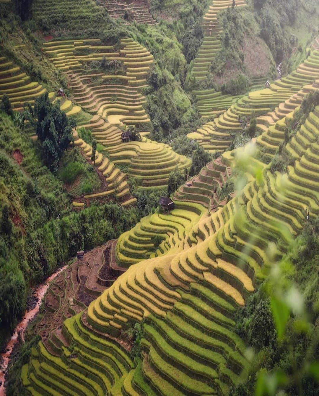 Earth Picsさんのインスタグラム写真 - (Earth PicsInstagram)「Mu Cang Chai rice terraces, photo by @indrawuphoto」6月19日 3時22分 - earthpix