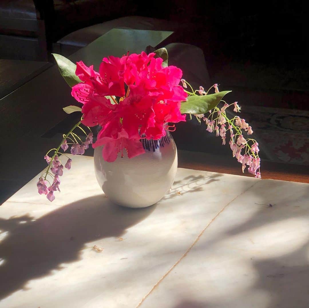 マーシャ・ゲイ・ハーデンさんのインスタグラム写真 - (マーシャ・ゲイ・ハーデンInstagram)「In bloom #peony #iris #rhododendron #daisy #nature」6月19日 3時40分 - mgh_8