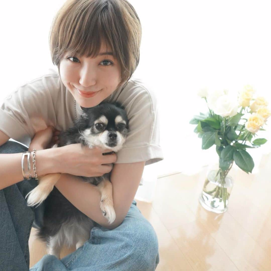 izu（出岡美咲）さんのインスタグラム写真 - (izu（出岡美咲）Instagram)「こっちゃん久し振りのトリミングへ🐕 ふわふわ最後に撮り納め。 サマーカットになって帰って来るの楽しみ😹  #チワワ #ブラックタン #チワワ部 #チワワのいる暮らし」6月19日 15時38分 - izu_stagram