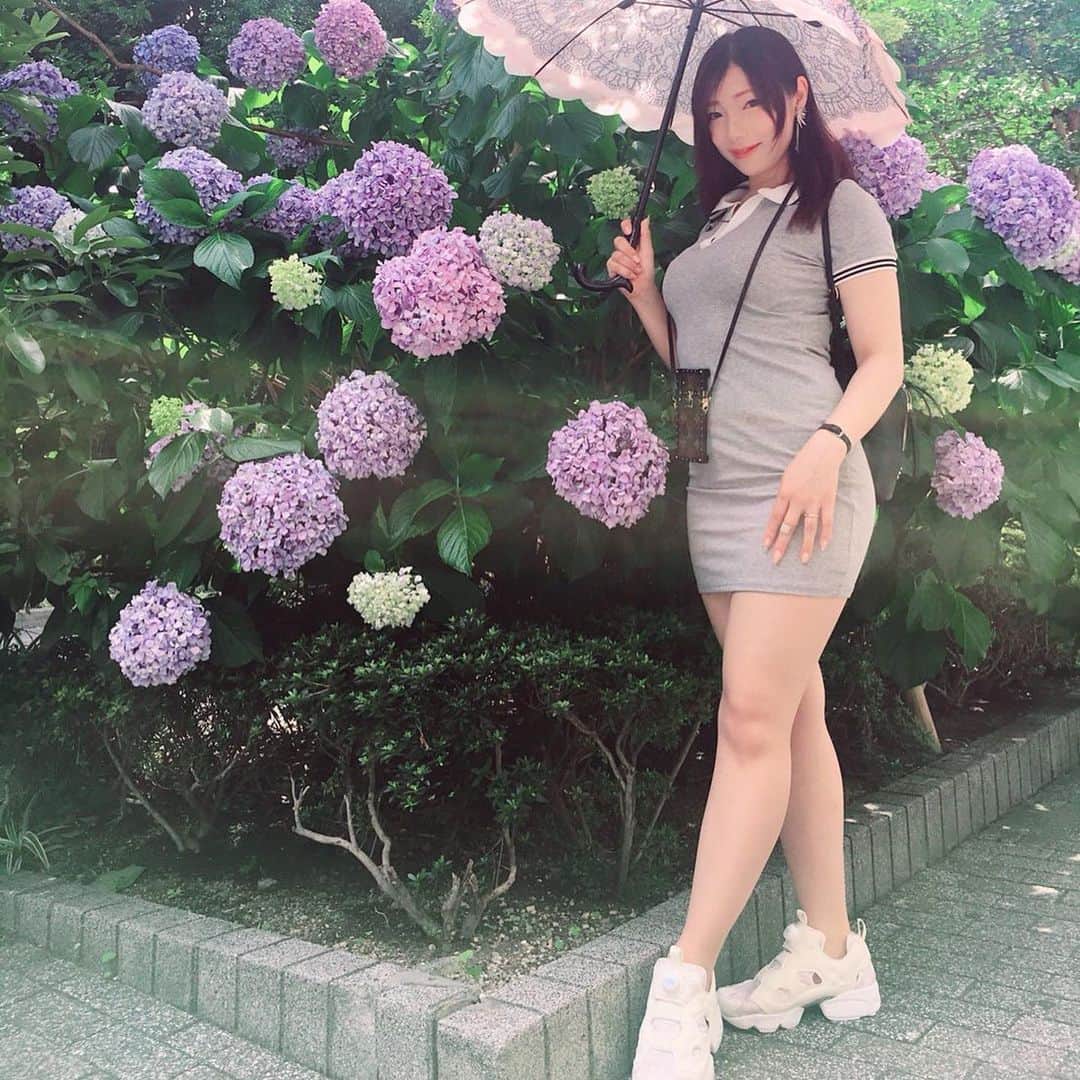 ツナマヨさんのインスタグラム写真 - (ツナマヨInstagram)「紫陽花が好きです」6月19日 15時44分 - tunamayo0113