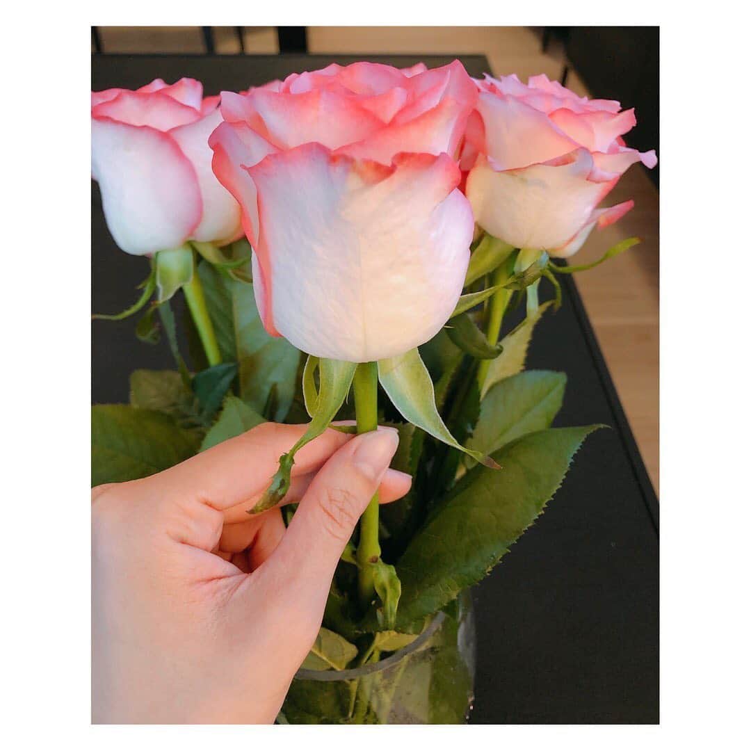 植田早紀さんのインスタグラム写真 - (植田早紀Instagram)「Pink Rose♥︎ #お花のある暮らし」6月19日 16時22分 - sakipersil