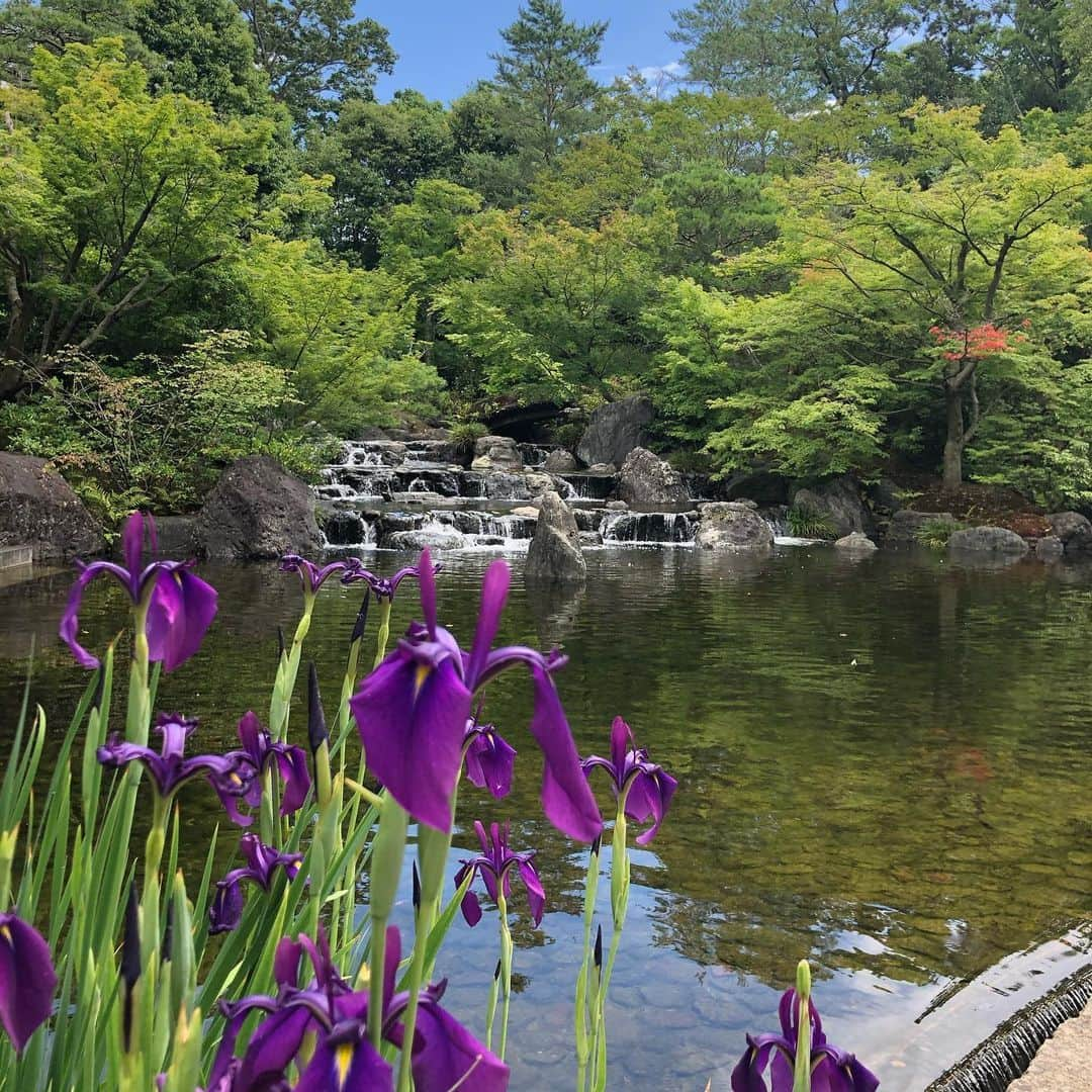 真麻さんのインスタグラム写真 - (真麻Instagram)「おはようございます☀今日は雨が凄いとか？彼が言ってたけどそうなのかな🙄出かける気失せちゃうʬʬʬもう雨の降る東京です☔️あ、私ほんと天気予報見ないタイプで、出かけたらみんな傘持ってた〜とかよくあるのwwwなるようになるさ精神👏🏻天気の変化に臨機応変に、降ったらその時に考えるって人生もアリだそう✨予め傘を持つとは違う行動があり、そうすることで出会うものもある😌そんなことを聞いたことがあるよ🎶どちらかといえばそれは私の人生に似ているかも٩(｡•ω•｡*)و ✩.*˚ 写真は先日師匠たちと行った神奈川の寒川神社⛩ ｢寒川神社は、相模國一之宮と称され、全国唯一の八方除の守護神として約千六百年の歴史を持つ神社です。古くは朝廷をはじめ、源頼朝、武田信玄、徳川家代々、さらには民間と幅広い信仰を受けてきました。現在は八方除の限りない御神徳を戴くために、全国各地から崇敬者が集まります。｣公式HP引用☯️✨ ✩.*˚ 私は今年、八方除が必要な七赤金星なので…ご祈祷お願いしました✋ご祈祷すると、この庭園に入れてお水とお砂がもらえます❗次回は彼を連れて行かないとなぁ🚗 ³₃ ✩.*˚ さて、試験勉強頑張る📚✍🏻✨皆さまも1日ファイトです(´ ｡•ω•｡)っ⌒❤ ✩.*˚ ✩.*˚ ✩.*˚ #寒川神社 #寒川神社参拝  #八方除 #ご祈祷 #七赤金星の年  #昭和59年生まれ #昭和は化石と言わせない #笑 #神奈川県 #中小企業診断士受験生 #中小企業診断士試験」6月19日 7時56分 - masaaoyama3