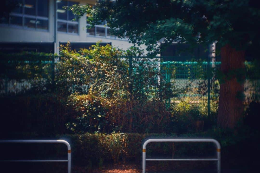 落合陽一のインスタグラム：「#yoichiochiai #落合陽一」