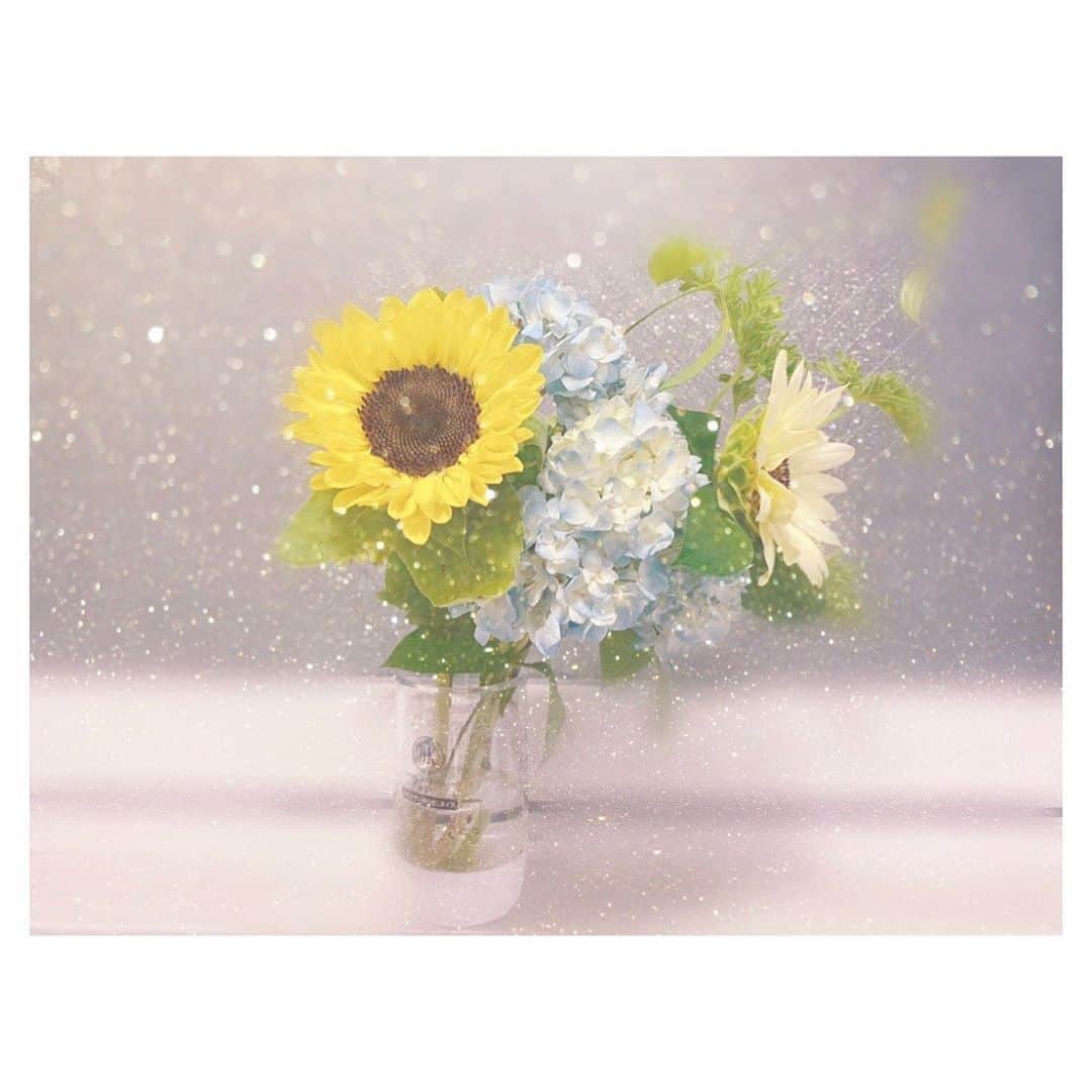 上西怜さんのインスタグラム写真 - (上西怜Instagram)「⠀ ⠀ おはようございます☺️ 撮影でいただいたお花💐♡ ⠀ 梅雨にぴったりの紫陽花と、大好きな向日葵🌻 ⠀ ⠀ お部屋に飾りたくて 花瓶代わりになりそうなコップに入れたら ⠀ なんと！ ⠀ 箸置き用のコップだったらしく ⠀ 下から水が、、、、 ⠀ ⠀ ⠀ やらかした‼︎‼︎ ⠀ ⠀」6月19日 8時07分 - jonishi_rei
