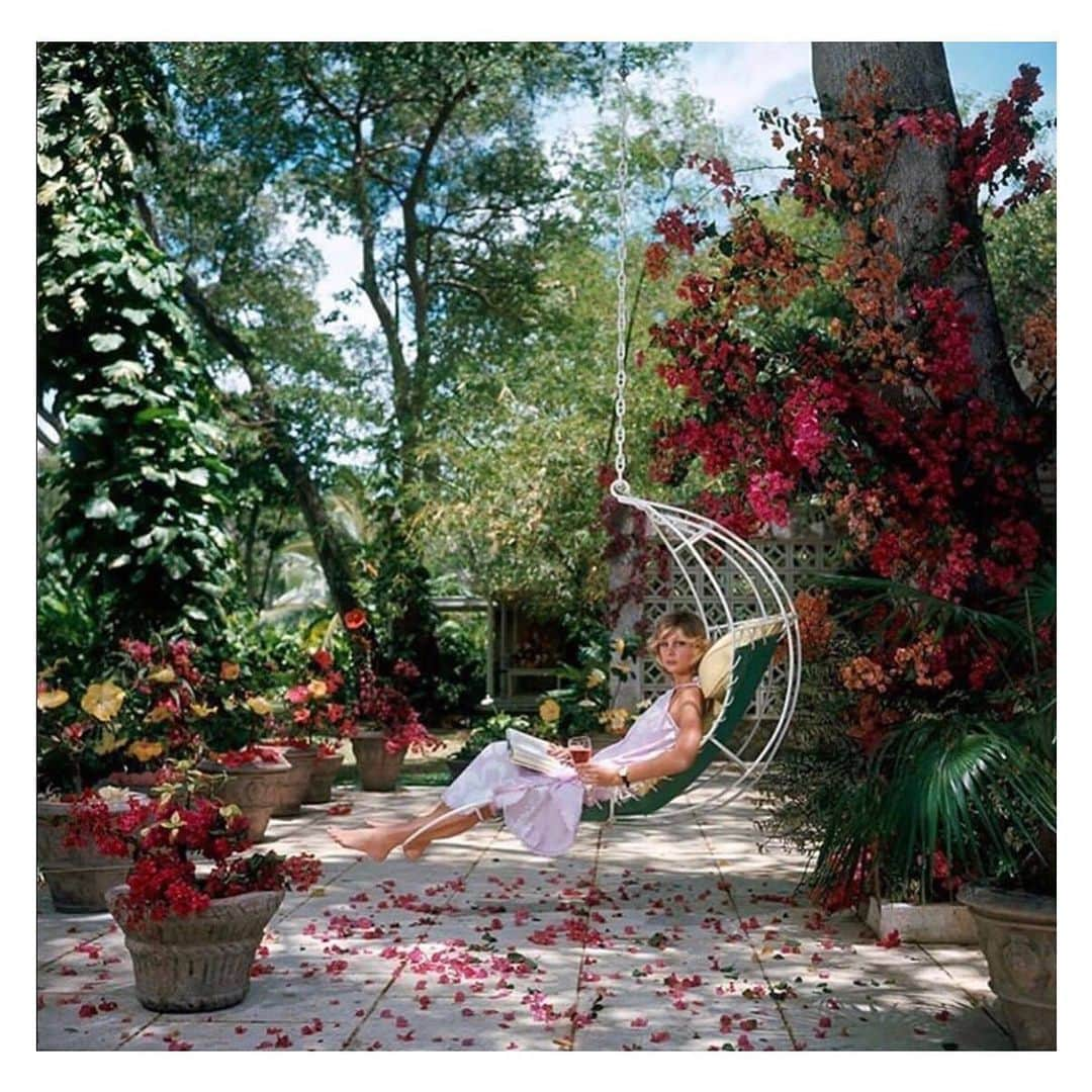 ココリボンさんのインスタグラム写真 - (ココリボンInstagram)「Flowerbomb Friday 🌺 #bougainvilleas #boholuxe #fridayfeels 📷 @slim_aarons」6月19日 8時38分 - cocoribbon_official