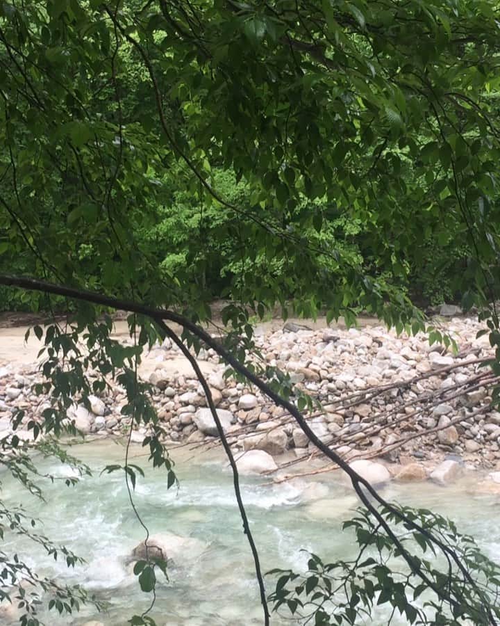 チックンとプーちゃんのふるさと? From Japan??のグルメインスタ