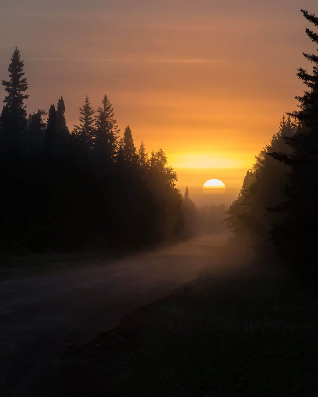 National Geographic Travelさんのインスタグラム写真 - (National Geographic TravelInstagram)「Photo by Spencer Millsap @Spono | A new dawn emerges along Route 19 in Riding Mountain National Park, Manitoba, Canada. At over 1,000 square miles (2,590 square kilometers), the park sits on the Manitoba Escarpment, providing an island of forest and wildlife in the midst of the surrounding prairies. #ExploreCanada #Manitoba #RidingMountainNationalPark #DestinationCanada #TravelManitoba」6月19日 9時04分 - natgeotravel