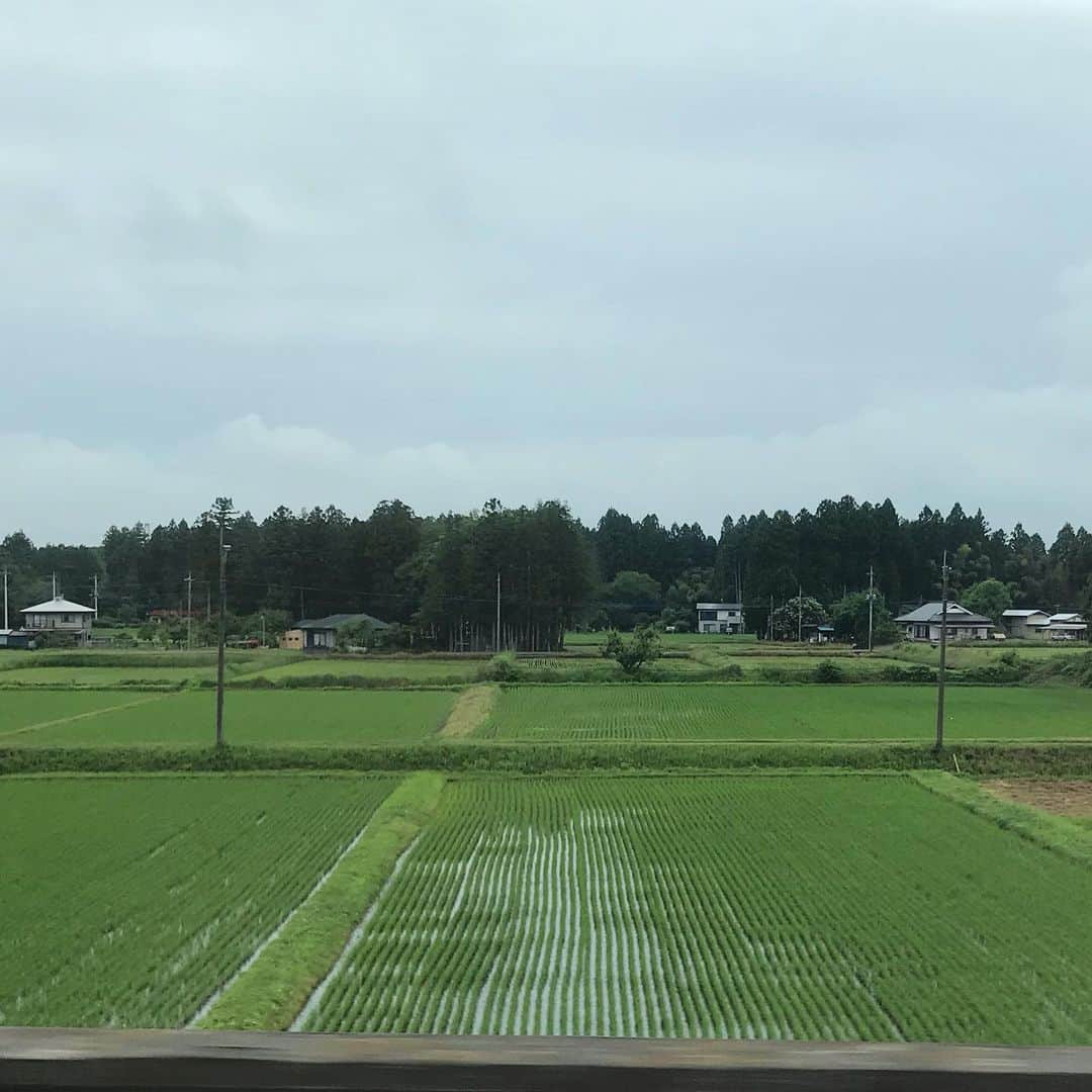 小谷あゆみのインスタグラム：「おはようござい那須塩原を抜けて雨上がりの白河へ。 出張解禁ー❣️ 3ヵ月ぶりの新幹線。 いやー長かった。 でも世田谷体験農園のおかげで救われました。 土と野菜と生命の成長にどんだけ心和ませてもらえたか ああみずみずしい田んぼの緑！ 目の保養〜 耕してくれてありがとうー！」