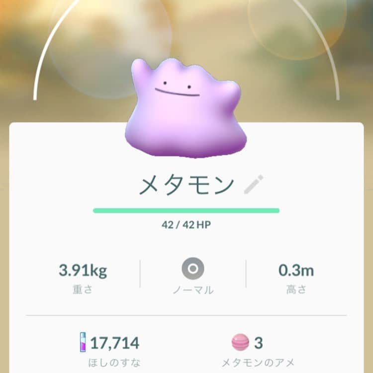 睦のインスタグラム：「メタモン、ゲット😆  #ポケットモンスター　 #pocketmonsters  #ポケモン  #ポケモンゴー  #ポケモンgo  #pokemon  #pokemongo  #ポケモンゴー散歩　 #ポケモンgo散歩　 #nintendo  #pikachu  #ピカチュー  #相棒  #パートナー　 #partner  #nintendo  #メタモン  #metamon  #ditto  #名探偵ピカチュウ  #PokémonDetectivePikachu  #ピカチュウ  #rare  #ssw  #singersongwriter  #artist  #lyricist  #singer  #井上睦都実 #睦」