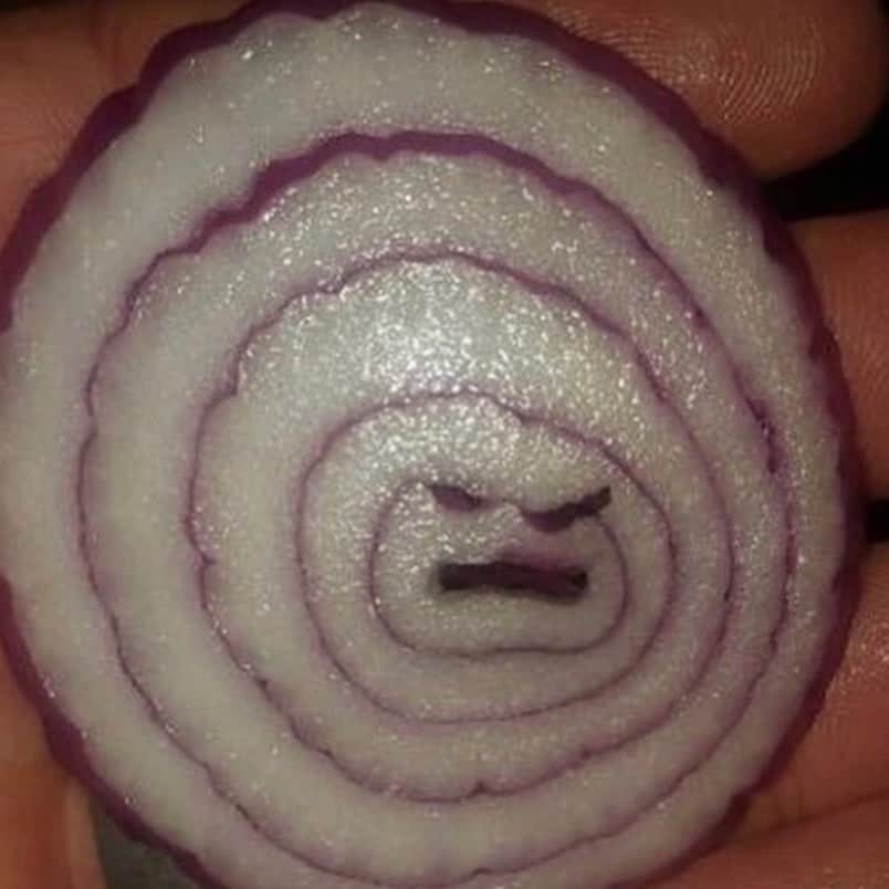 uglyfruitandvegのインスタグラム：「‪Onion Thought it Was Friday THE WHOLE DAY! 😠🧅 Pic by m_lennon29 #TBT #ISeeFaces #ItsNotFridayWut ‬」