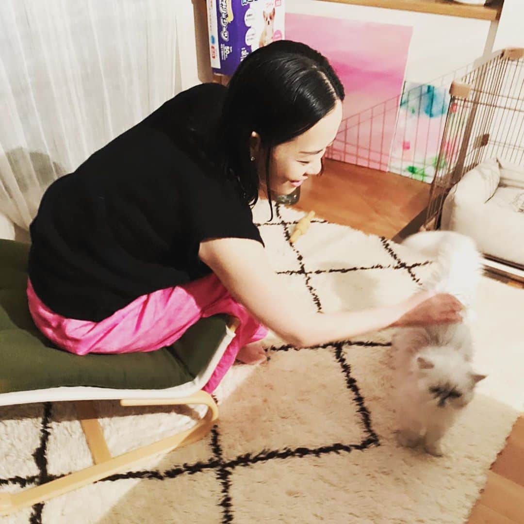 HiRAO INCさんのインスタグラム写真 - (HiRAO INCInstagram)「. 保護犬のダニ〜君5歳を迎えるかずちゃん。  うちの子たちが使っていたケージと ダニーへの新しいベッドと、トイレを買ってお祝いに。  なこちゃん、興味津々 すぐにチェック！ 仲良くなるといーな  @kazukovalentine」6月19日 10時11分 - kayokohirao