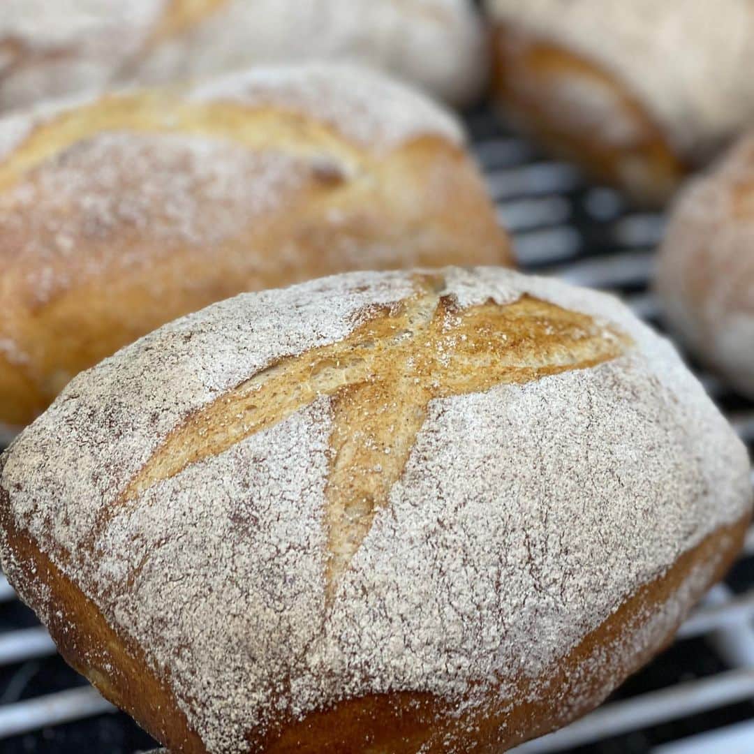 魔女菅原のグルメインスタ