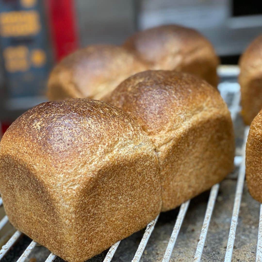 魔女菅原のグルメインスタ