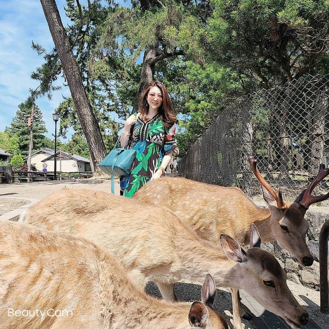 今堀恵理さんのインスタグラム写真 - (今堀恵理Instagram)「奈良の鹿に会いに  @izumi.hakamata  ちゃんと  奈良公園に  鹿は狂暴‼️ かなりヤラレっぱなし(笑)　勝てないよー  鹿せんべいどころか私たちのお腹やお尻まで噛んでくる❗食べられそうやった  タイでお揃いで買ったワンピースで行ったよ  時計も @nomonday  コーデ  クーポンコード『eriimfk』 使用で10パーセントオフになります。  ピアスは　@eclisia_official  です  #奈良公園 #bambi #nomonday #ノーマンデー #腕時計 #時計 #手元倶楽部」6月19日 11時47分 - eriimahori