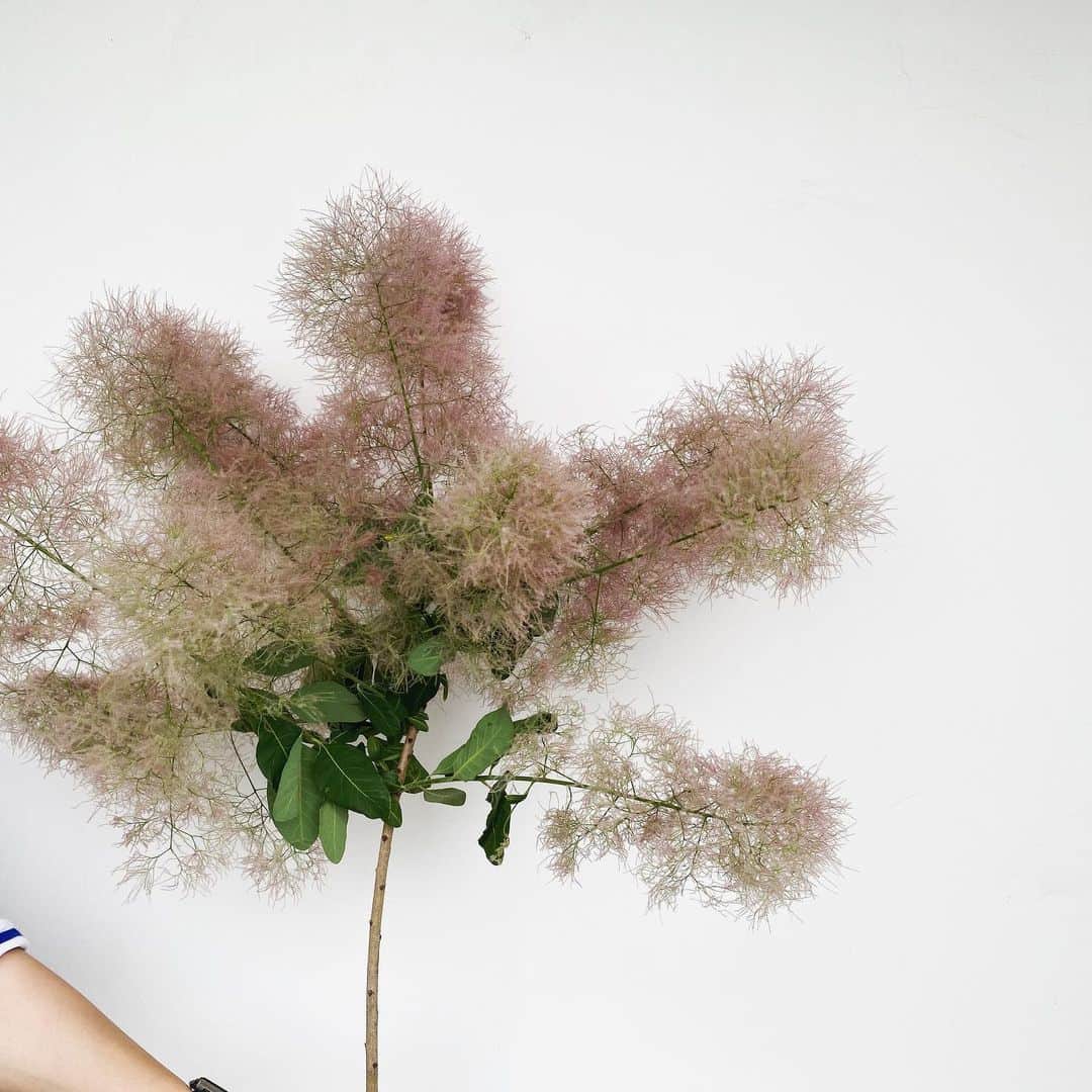 MILLE ECLAT.のグルメインスタ